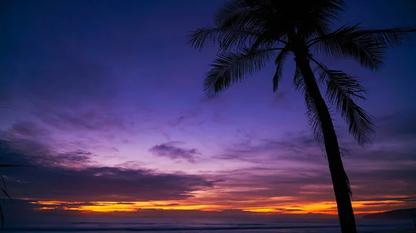 Hermosa Puesta Sol Salida Del Sol Con Silueta Palmera Isla — Foto de Stock