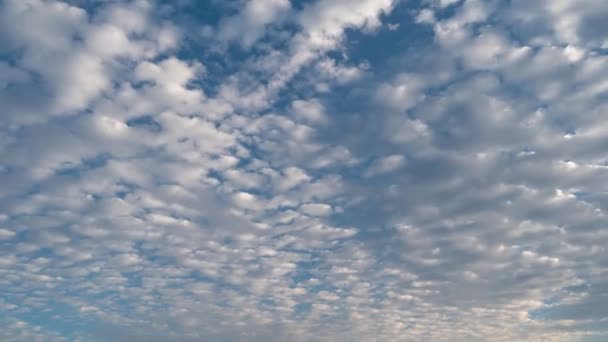 Zeitraffer Von Blauem Himmel Und Wolken Der Sommersaison — Stockvideo