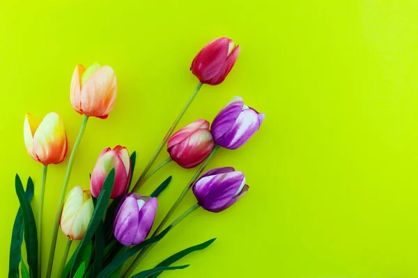 Lente Bloem Van Multi Color Tulpen Gele Achtergrond Platte Lay — Stockfoto
