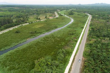Yeşil tarla yaz ormanı ve nehir ile suratthani Tayland 'daki göl arasındaki yolun hava görüntüsü.