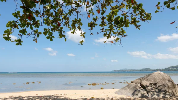 Verão Férias Férias Fundo Conceito Belas Folhas Armação Árvores Praia — Fotografia de Stock