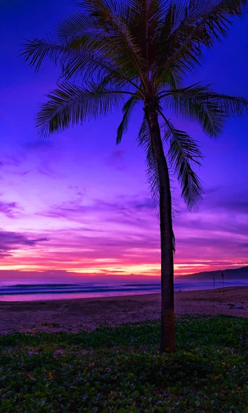 Silhouette Palma Kokosowa Przeciwko Kolorowe Zachody Słońca Lub Wschód Słońca — Zdjęcie stockowe