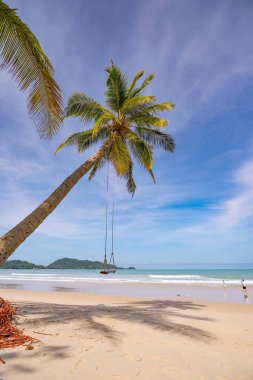 Patong plajı etrafında palmiye ağaçları olan yaz plajı Phuket Adası Tayland, yaz mevsiminde mavi gökyüzü arka planına sahip güzel tropik plaj.