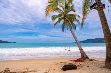 Patong plajı etrafında palmiye ağaçları olan yaz plajı Phuket Adası Tayland, yaz mevsiminde mavi gökyüzü arka planına sahip güzel tropik plaj.