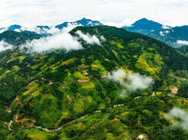 Hava manzaralı pirinç tarlaları kuzey Vietnam 'da, pirinç tarlaları hasadı kuzeybatı Vietnam' da, geniş açılı görüş alanında hazırlıyor.