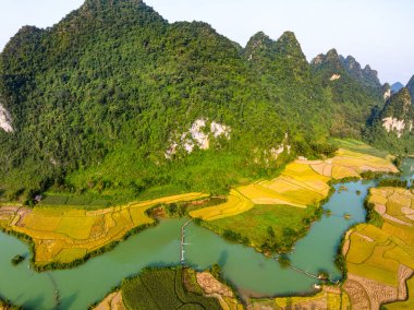 Kuzey Vietnam 'daki yeşil pirinç tarlasının havadan görünüşü, Kuzey Vietnam' daki güzel varış yeri, seyahat ve manzara, doğa ve pirinç tarlaları.