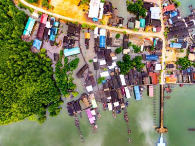 Kırsal kesimde limanı olan mangrov ormanları.