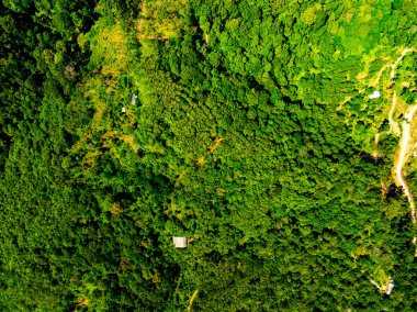 Hava görüntüsü Drone kamerası yağmur ormanları ağaçlarının tepesindeki ekoloji sağlıklı çevre konsepti ve yaz arkaplanı, yeşil çevre arka planı