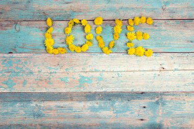 Eski turkuaz ahşap zemin üzerine sarı dandelions üzerinden 