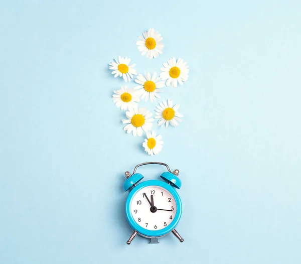 青の目覚まし時計と青の背景にカモミールの花 上面の平らな層 — ストック写真