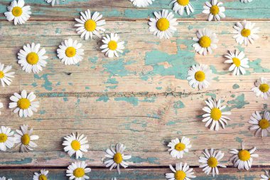 Chamomiles eski ahşap arka plan üzerinde kopya alanı ile çerçeve. Düz yatıyordu, en iyi görünümü.