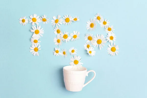 Vitt Cup Och Ordet Kamomill Blommor Blå Bakgrund Kamomill Koncept — Stockfoto