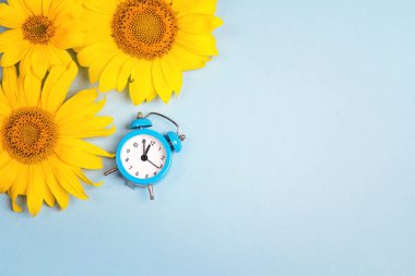 Küçük çalar saat ve sarı ayçiçeği ile mavi arka plan. Metin için yer.