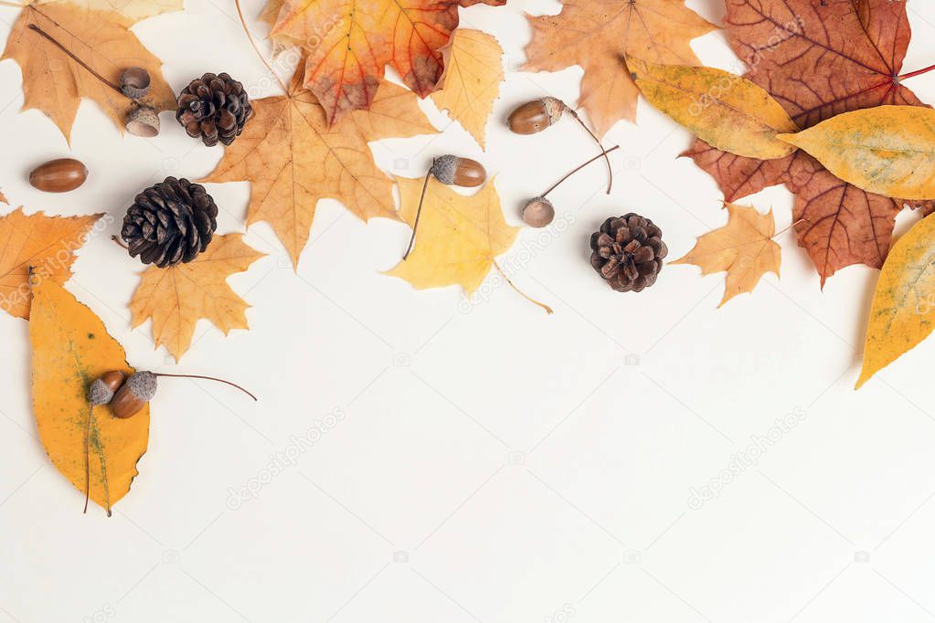 Border made of dried autumn leaves, cones and acorns on light background. Autumn composition. Flat lay, top view, copy space.