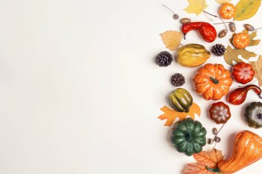 Dekoratif kabaklar ve düşen yapraklar üzerinde bej renkli arka plan üzerinde. Metin için yer kopyalayın. Cadılar Bayramı, Şükran günü veya Mevsimlik arka plan. 
