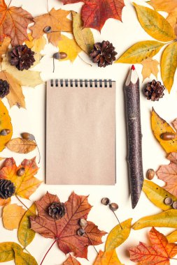 Bir ahşap kalem ve kurutulmuş sonbahar boş not defteri açık renkli bırakır. Sonbahar Not kompozisyon. Düz yatıyordu, en iyi görünüm, kopya alanı.