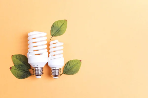 Energibesparing Glödlampa Med Gröna Blad Spara Energikoncept Platt Lekmanna Top — Stockfoto