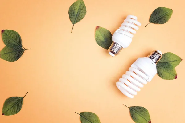 Energibesparing Glödlampa Med Gröna Blad Lägenheten Låg Ovanifrån Kopia Utrymme — Stockfoto