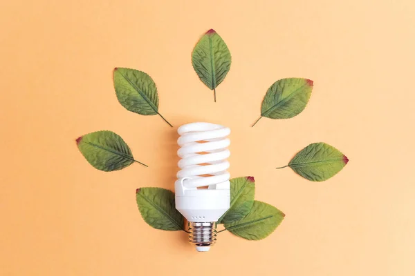 Energibesparing Glödlampa Med Gröna Blad Spara Energikoncept Platt Lekmanna Top — Stockfoto