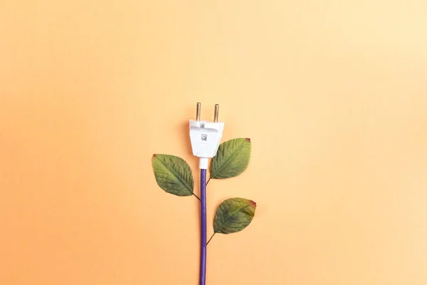 Elektrisk Kontakt Med Blad Som Planta Eco Bio Energisparande Begreppsmässigt — Stockfoto