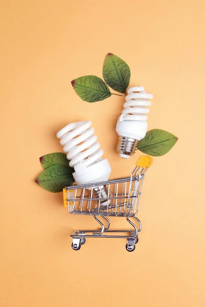 Shopping Vagn Med Energibesparing Glödlampa Spara Energikoncept — Stockfoto