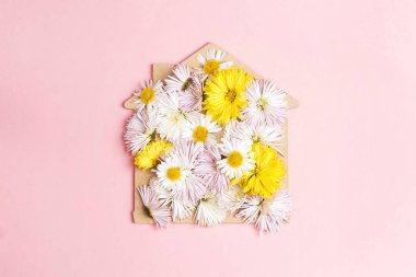 Pembe bir arka plan üzerinde beyaz Aster çiçekli ev sembolü. Üstten görünüm.