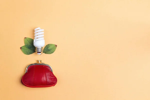 Energibesparing Glödlampa Med Gröna Blad Och Röda Handväska Spara Energikoncept — Stockfoto