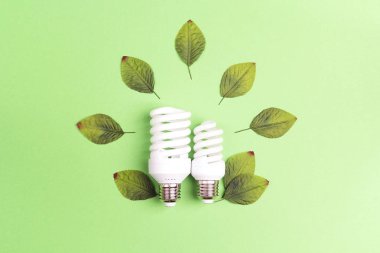 Enerji tasarruflu ampul yeşil yaprakları ile. Enerji kavramı kaydetmek. Düz yatıyordu, en iyi görünümü.