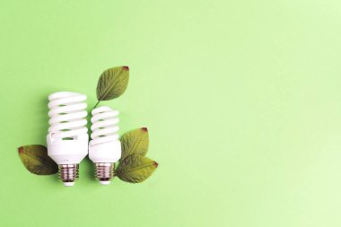 Enerji tasarruflu ampul yeşil yaprakları ile. Enerji kavramı kaydetmek. Düz yatıyordu, en iyi görünüm, kopya alanı.