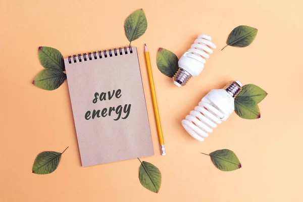 Energiebesparing Gloeilamp Met Groene Bladeren Notebook Plat Lag Top Uitzicht — Stockfoto