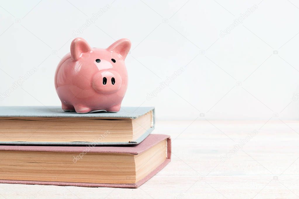 Pink piggy bank on books on white background with copy space. Concept of education costs