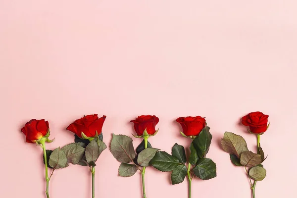 Border of red rose flowers on pink background. Place for text, top down composition.