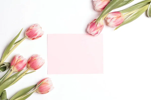 Carta Rosa Bianca Con Fiori Tulipani Copiare Spazio Sfondo Rosa — Foto Stock