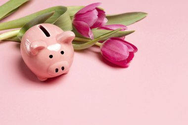 Piggy bank with tulip flowers on pink background. clipart