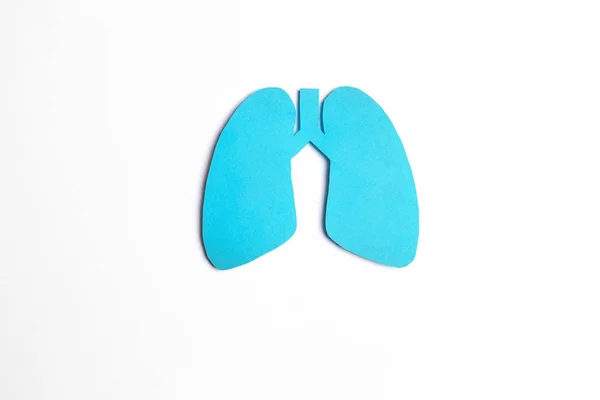 Símbolo de los pulmones sobre fondo blanco. Día Mundial de la Tuberculosis . — Foto de Stock