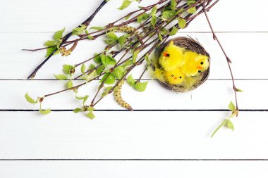 Yuvaya huş ağacı dalları ile ilk Reaply ile dekoratif tavuk