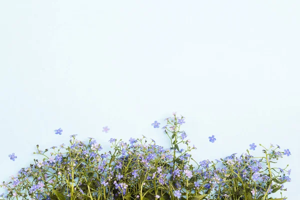 Forget-me-not flowers border on blue background.