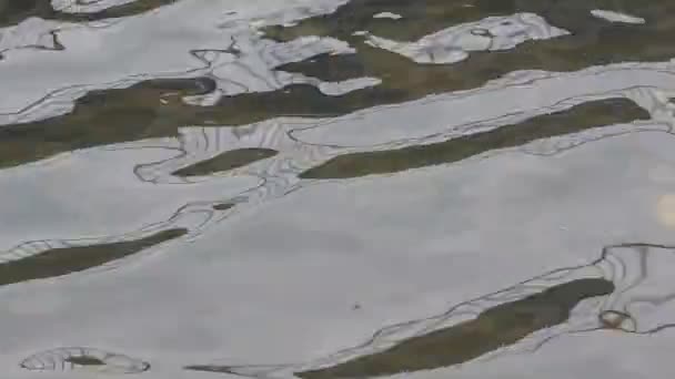 波と橋の反射を描いた川の流れ — ストック動画