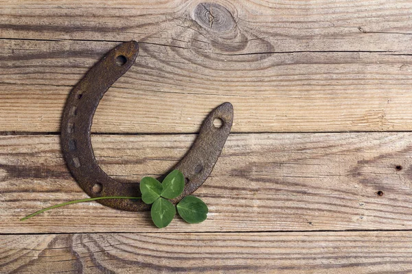 Old horseshoe and four leaf clover on old wooden boards. St. Pat — Stock Photo, Image