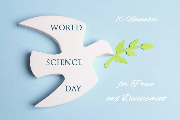 Journée mondiale de la science pour la paix et le développement carte de voeux . — Photo