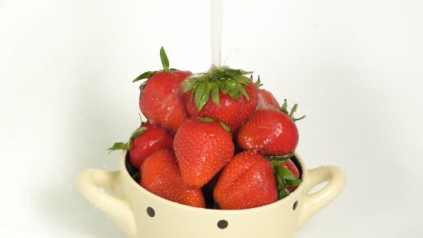 Frische Reife Köstliche Erdbeeren Unter Fließendem Wasser Waschen Erdbeeren Einer — Stockvideo