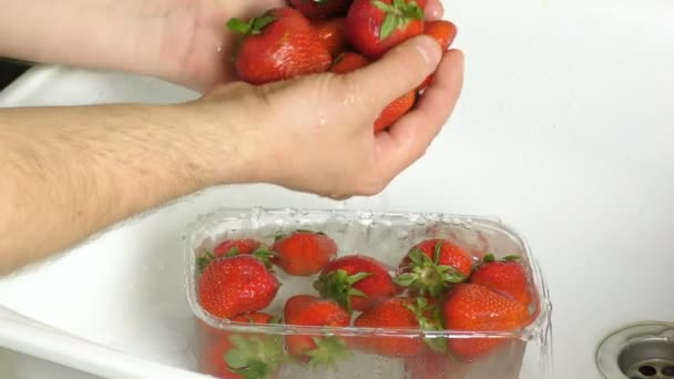 Las Manos Los Hombres Lavan Fresas Maduras Con Agua Del — Vídeo de stock