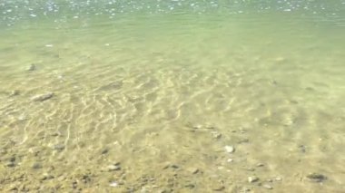 Güneşli bir yaz gününde dağ nehri deresi. Şeffaf suyun altında temiz bir kıç, suyun yüzeyinde güneş parlıyor..