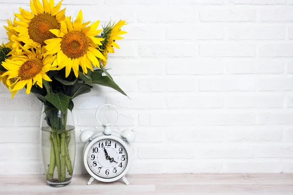 Bordo Girasoli Parete Bianca Copia Spazio Testo Vista Dall Alto — Foto Stock