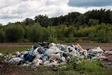 Bitkiler arasında doğada bir çöp yığını. Doğaya zehirli plastik. Çevre kirliliği. Ekolojik sorun. 