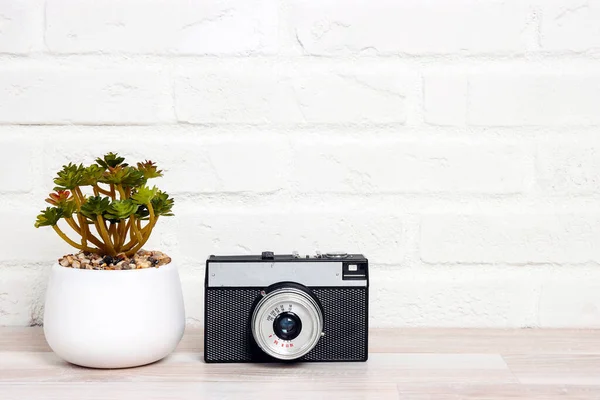 Oude Retro Camera Kamerplanten Bloempotten Agianst Witte Bakstenen Muur Kopieer — Stockfoto