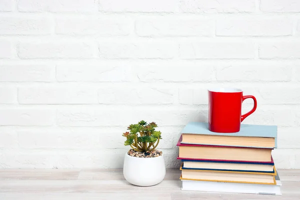 Куча Книг Красной Кружкой Комнатными Растениями Белой Кирпичной Стены Образование — стоковое фото
