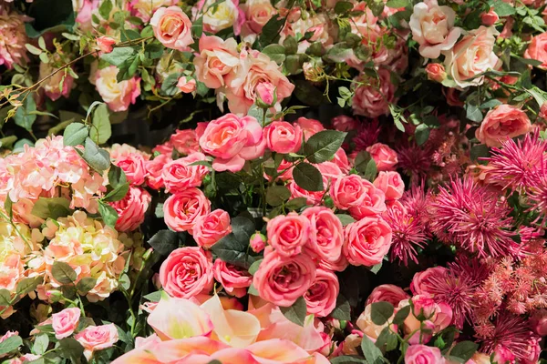 Güzel ve renkli çiçekler güllü koleksiyonu