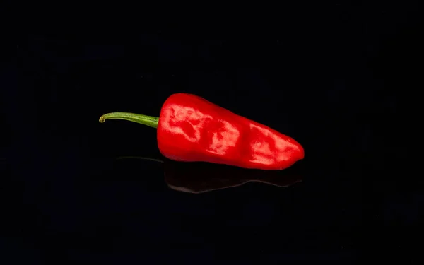 Red isolated chili pepper close up view with black background and copy space — Stock Photo, Image