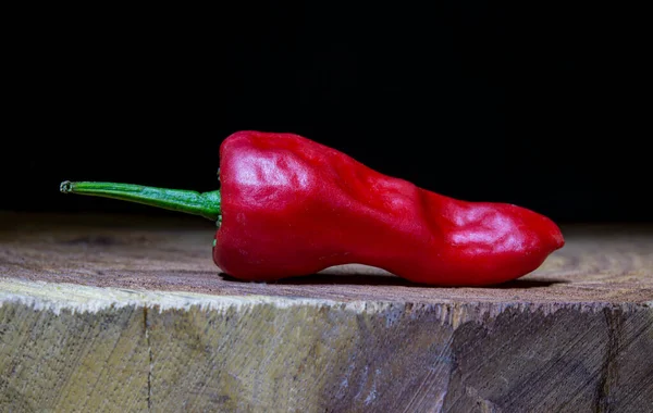 Piros elszigetelt chili paprika közeli kilátás fa háttér és másolás helyet — Stock Fotó